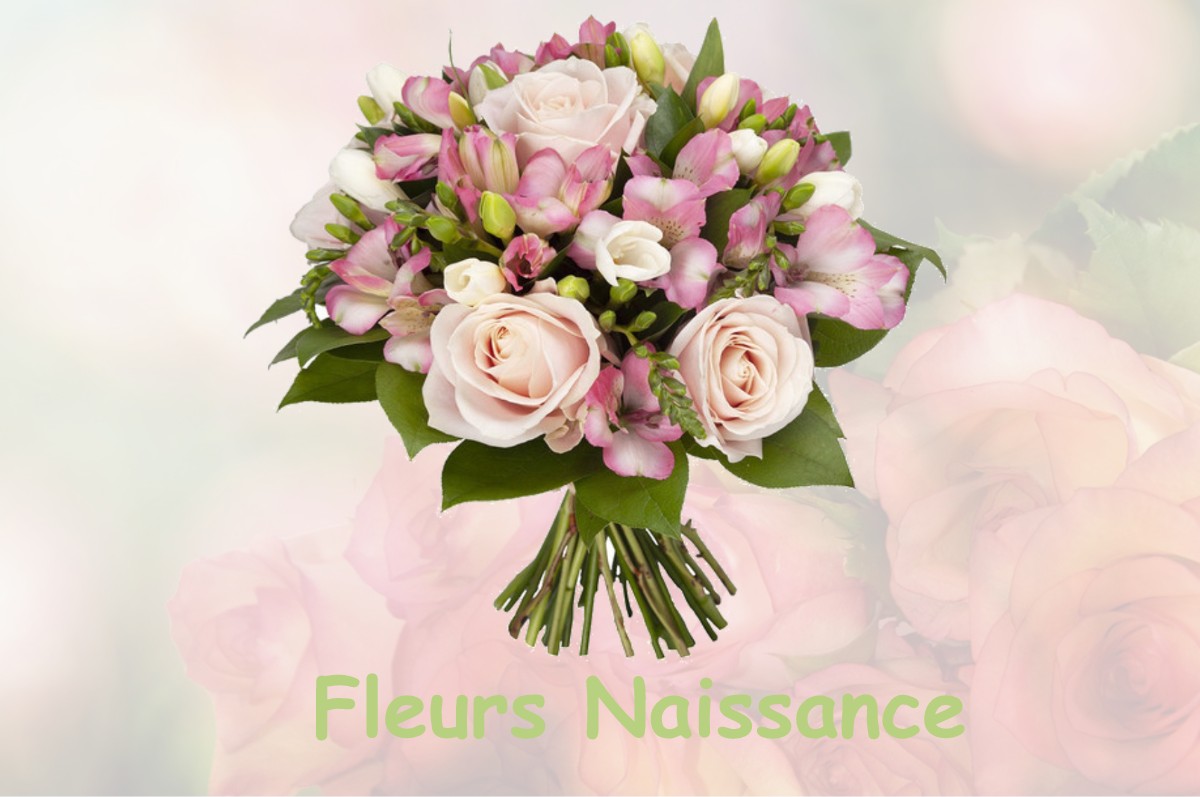 fleurs naissance BLAINCOURT-LES-PRECY